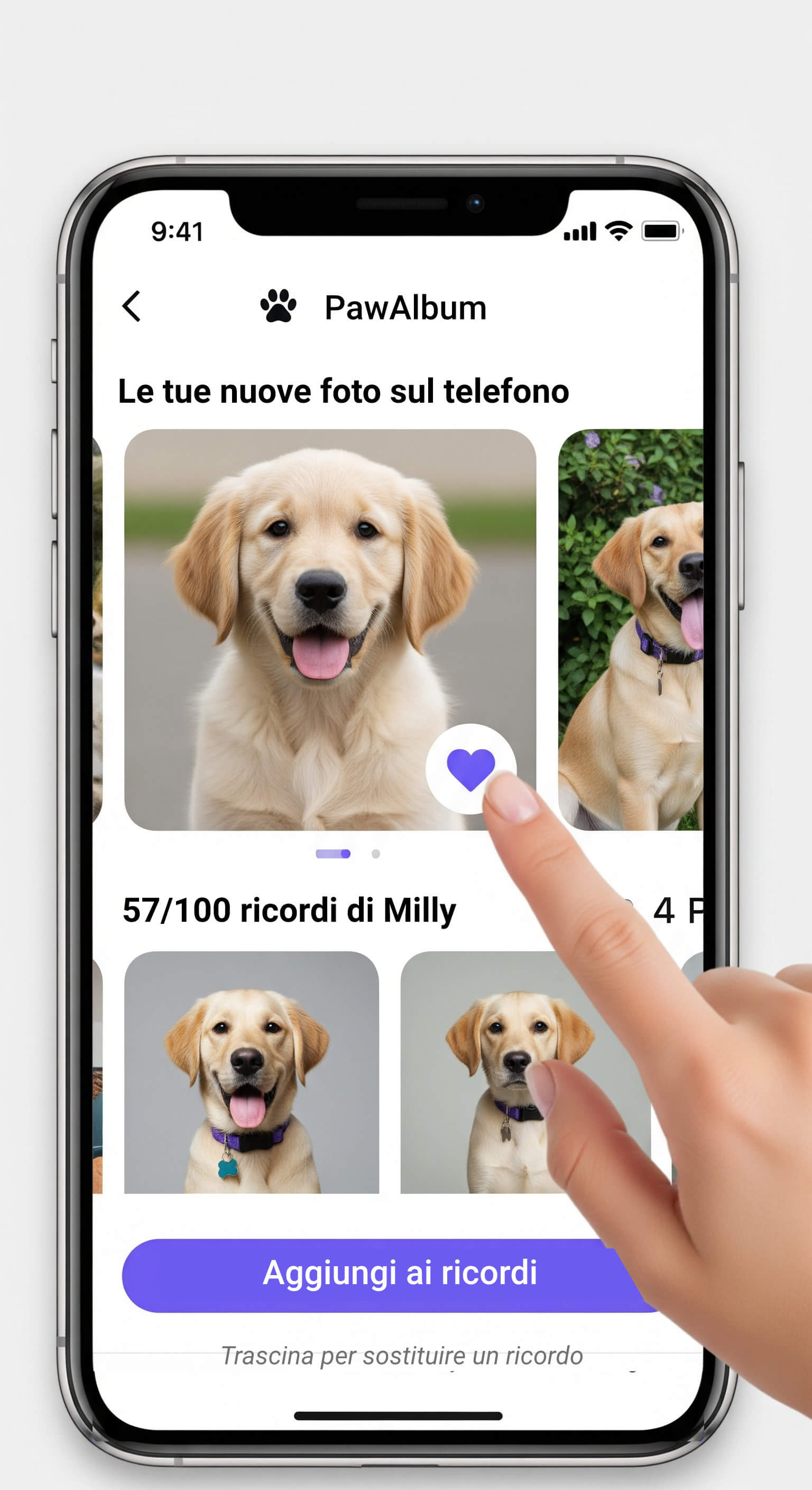 Processo di selezione delle foto in PawAlbum
